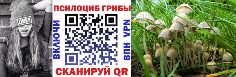 Псилоцибиновые грибы Psilocybine cubensis  shop наркотические препараты  Видное 